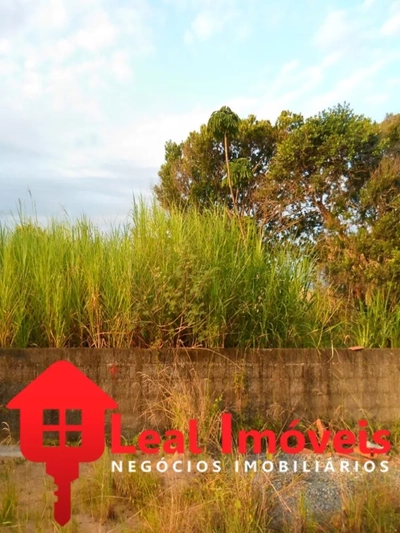 Terreno, 311 m² - Foto 1