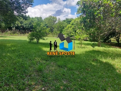 Chácara, 2 quartos, 5000 m² - Foto 3