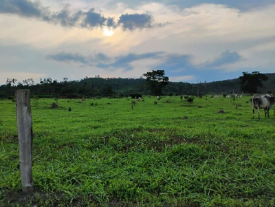 Terreno, 150 m² - Foto 3