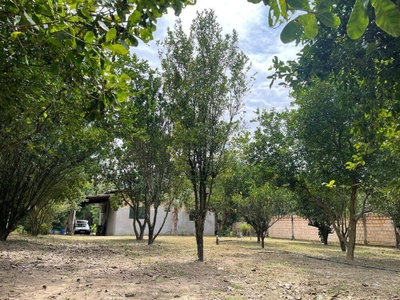 Terreno, 4700 m² - Foto 1