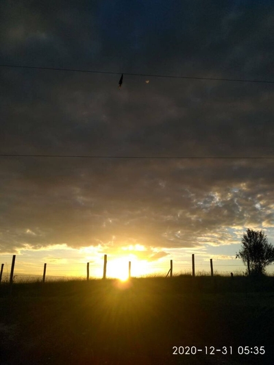 Sítio, 3 quartos, 2100 m² - Foto 2