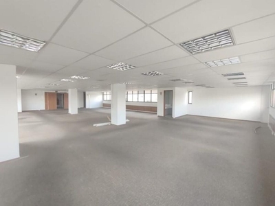 Sala-Conjunto, 266 m² - Foto 4