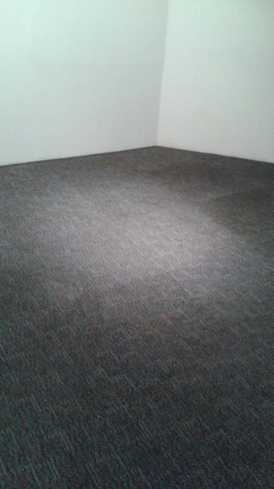 Sala-Conjunto, 223 m² - Foto 4