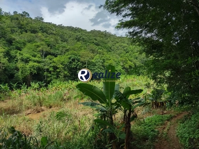 Fazenda-Sítio-Chácara - Foto 4