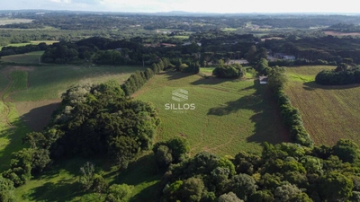 Chácara, 1 quarto, 6 hectares - Foto 1