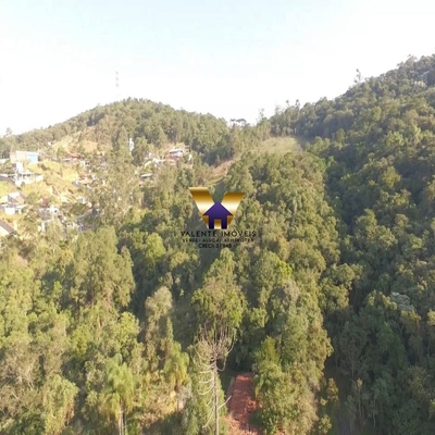 Fazenda-Sítio-Chácara, 38034 hectares - Foto 3