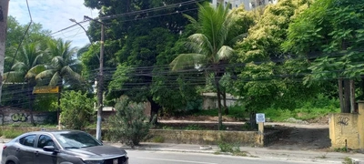 Terreno, 6000 m² - Foto 1