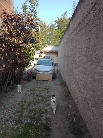 Casa, 2 quartos - Foto 4