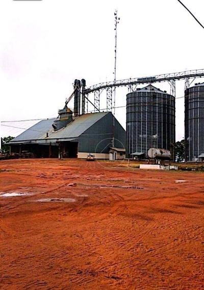 Fazenda-Sítio-Chácara, 10000 hectares - Foto 1