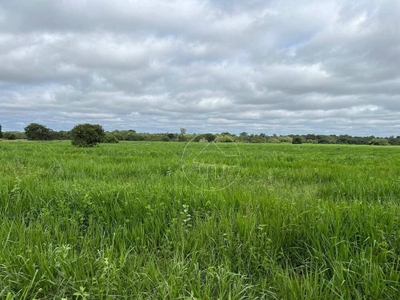 Fazenda-Sítio-Chácara, 4291 hectares - Foto 4