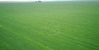 Fazenda-Sítio-Chácara, 15500 hectares - Foto 1