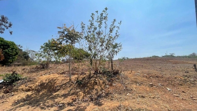 Terreno, 539 m² - Foto 3