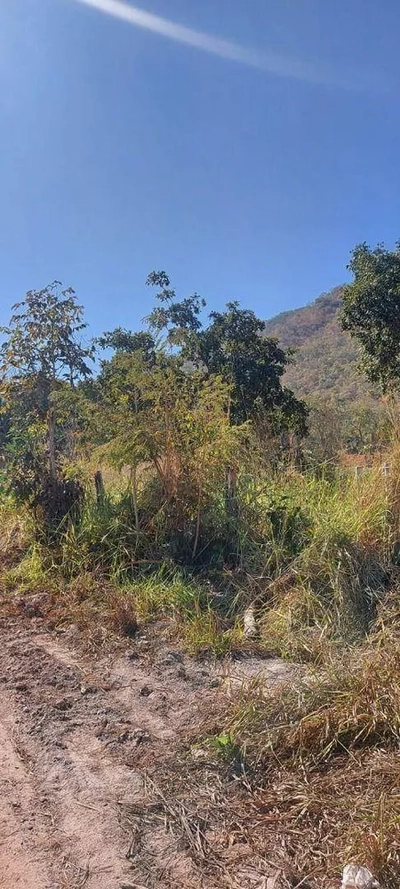 Terreno, 8 hectares - Foto 2