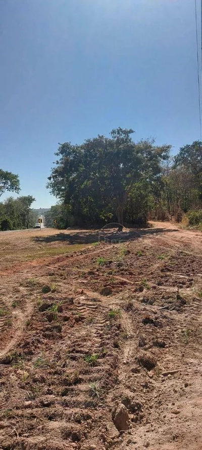 Terreno, 8 hectares - Foto 4