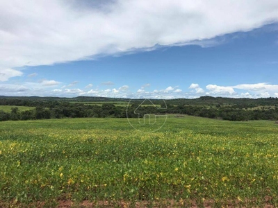Fazenda-Sítio-Chácara, 500 hectares - Foto 1