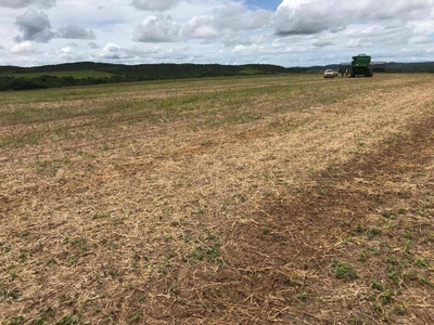 Fazenda-Sítio-Chácara, 500 hectares - Foto 3