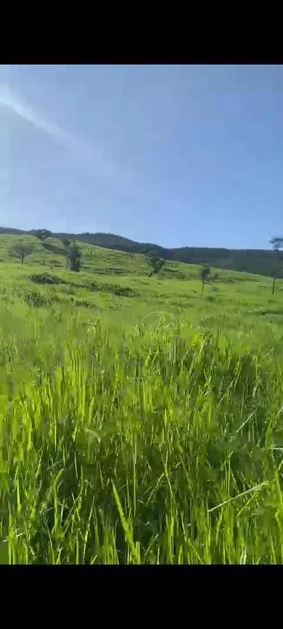 Fazenda-Sítio-Chácara, 3146 hectares - Foto 1