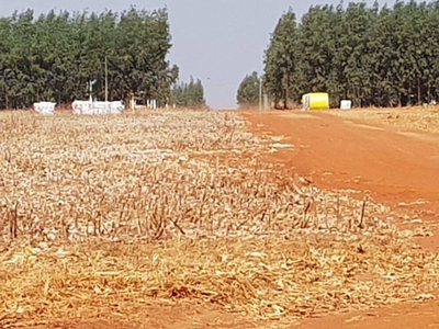 Fazenda-Sítio-Chácara, 17000 hectares - Foto 3