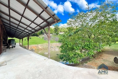 Sítio, 4 quartos, 2 hectares - Foto 3