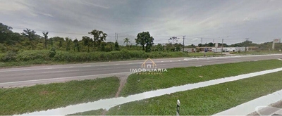 Terreno, 3 hectares - Foto 3