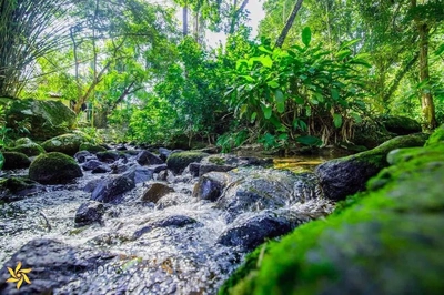 Casa, 5 quartos, 220 m² - Foto 2