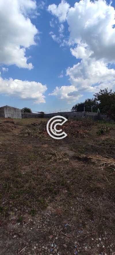 Loteamento e Condomínio, 5000 m² - Foto 3