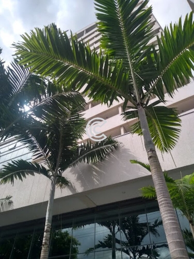 Sala-Conjunto, 43 m² - Foto 2