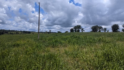 Fazenda-Sítio-Chácara, 1800 m² - Foto 3