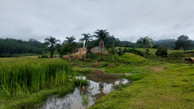 Sítio, 3 quartos, 26 hectares - Foto 4