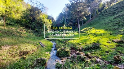 Sítio, 7 quartos, 3 hectares - Foto 4