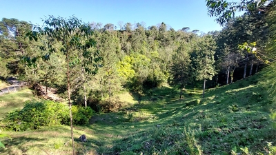 Sítio, 7 quartos, 3 hectares - Foto 1