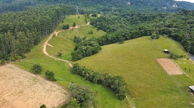 Sítio, 22 hectares - Foto 5