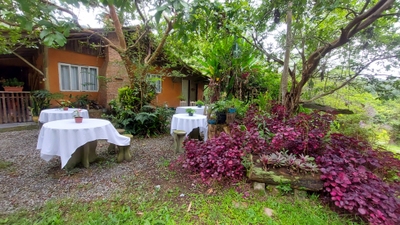 Sítio, 8 quartos, 12 hectares - Foto 5