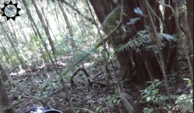 Chácara, 1 quarto, 4640 m² - Foto 1