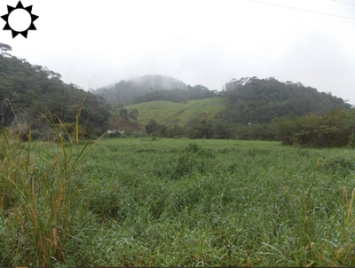 Sítio, 2 quartos, 49 hectares - Foto 1