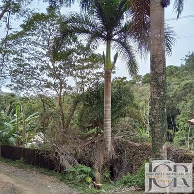 Terreno, 1125 m² - Foto 4