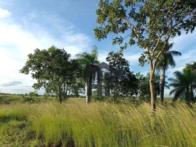 Terreno, 800 m² - Foto 3