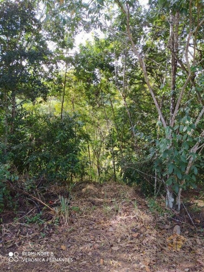 Loteamento e Condomínio, 4959 m² - Foto 5