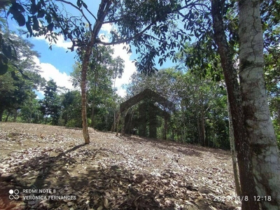 Terreno, 5226 m² - Foto 2