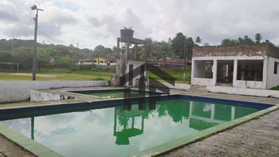 Terreno, 1 hectares - Foto 5