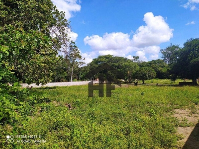 Terreno, 5000 m² - Foto 4