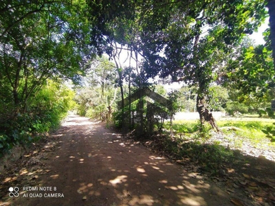 Terreno, 5000 m² - Foto 1