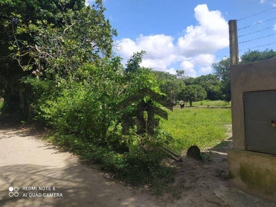 Terreno, 5000 m² - Foto 3