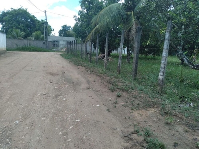 Terreno, 3000 m² - Foto 4