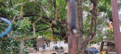 Terreno, 354 m² - Foto 4