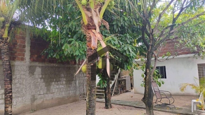 Casa, 3 quartos, 122 m² - Foto 5