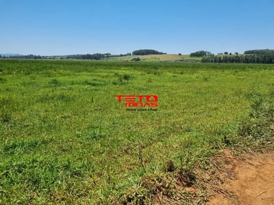 Sítio, 175 m² - Foto 3