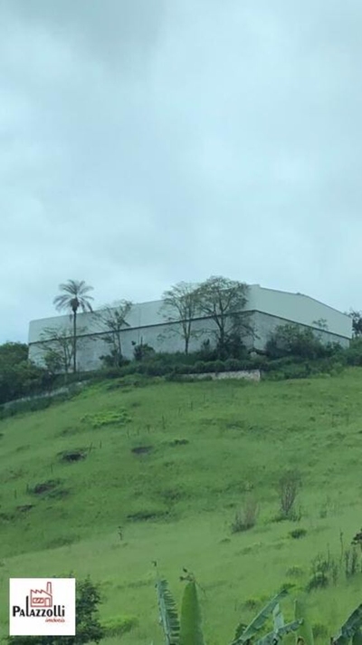 Depósito-Galpão, 2500 m² - Foto 4