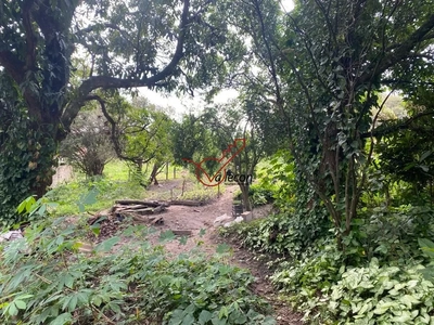 Chácara, 3 quartos, 8250 m² - Foto 2