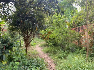 Chácara, 3 quartos, 8250 m² - Foto 3